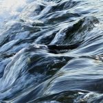 rots en water